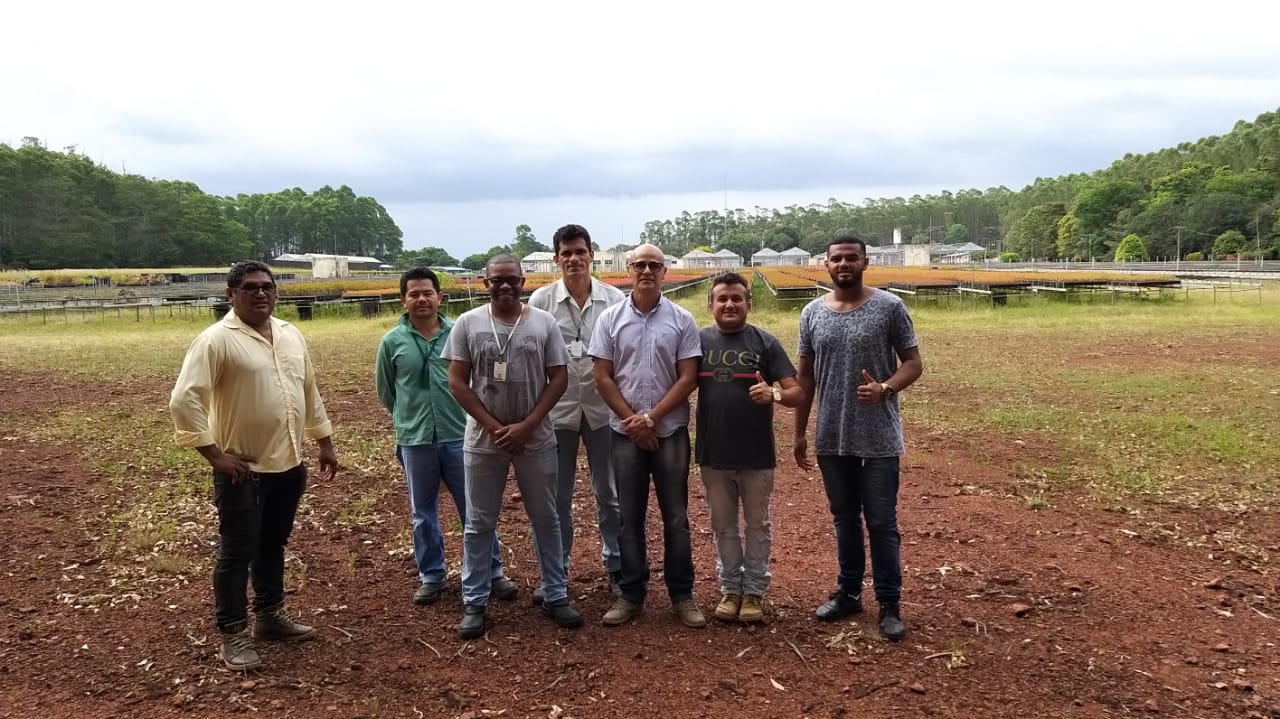 Instituto IIMAPA busca parceria para implantação do Projeto horta educacional solidária e inclusiva.